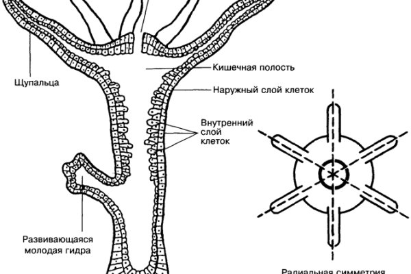 Kraken ссылка зеркало официальный сайт