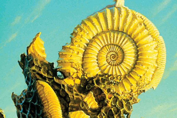 Ссылка на кракен krakens13 at
